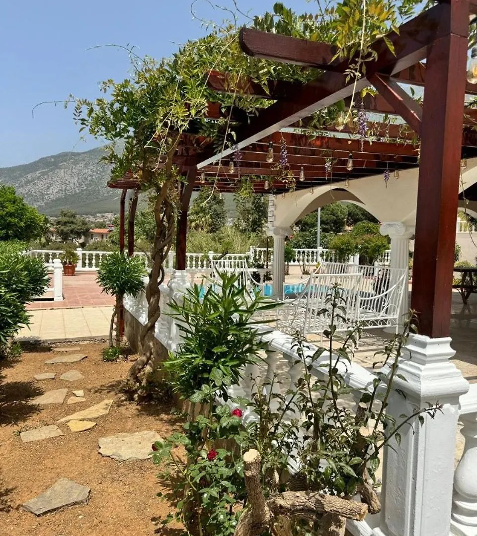 Monte VI De Villa 페티예